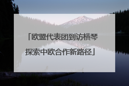 欧盟代表团到访横琴 探索中欧合作新路径