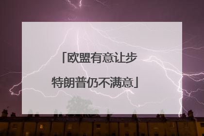 欧盟有意让步 特朗普仍不满意