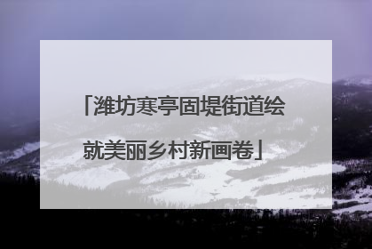 潍坊寒亭固堤街道绘就美丽乡村新画卷