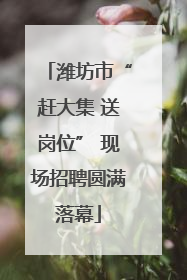 潍坊市“赶大集 送岗位” 现场招聘圆满落幕