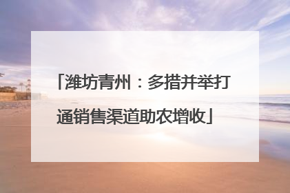 潍坊青州：多措并举打通销售渠道助农增收