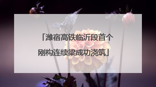 潍宿高铁临沂段首个刚构连续梁成功浇筑
