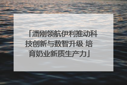 潘刚领航伊利推动科技创新与数智升级 培育奶业新质生产力