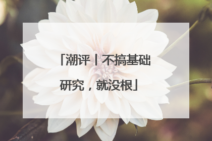 潮评丨不搞基础研究，就没根