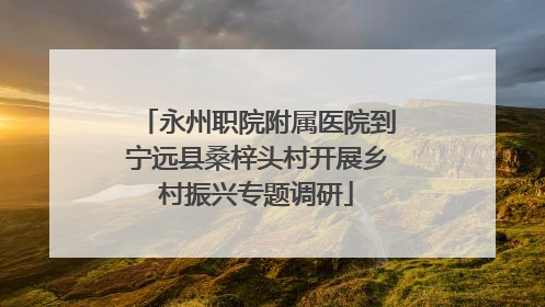 永州职院附属医院到宁远县桑梓头村开展乡村振兴专题调研