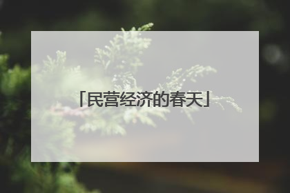 民营经济的春天