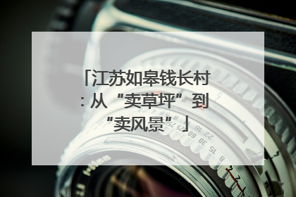 江苏如皋钱长村：从“卖草坪”到“卖风景”