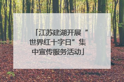 江苏建湖开展“世界红十字日”集中宣传服务活动