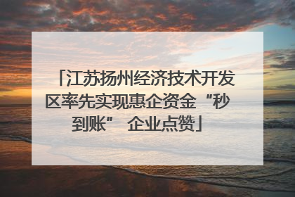 江苏扬州经济技术开发区率先实现惠企资金“秒到账” 企业点赞