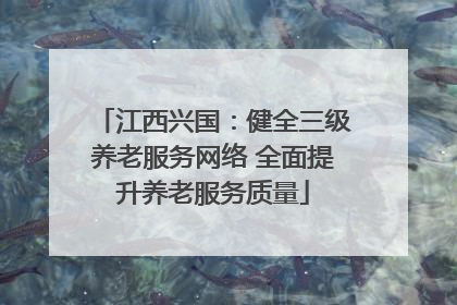 江西兴国：健全三级养老服务网络 全面提升养老服务质量