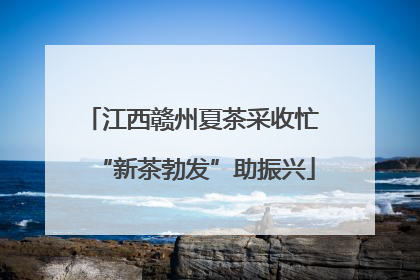 江西赣州夏茶采收忙 “新茶勃发”助振兴