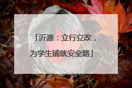 沂源：立行立改，为学生铺就安全路