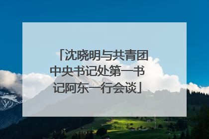 沈晓明与共青团中央书记处第一书记阿东一行会谈