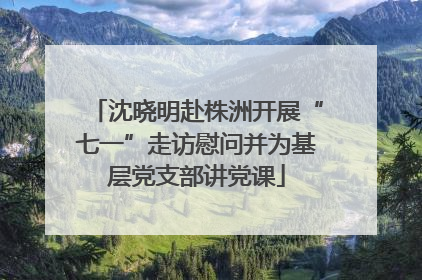 沈晓明赴株洲开展“七一”走访慰问并为基层党支部讲党课