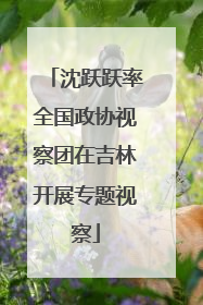沈跃跃率全国政协视察团在吉林开展专题视察