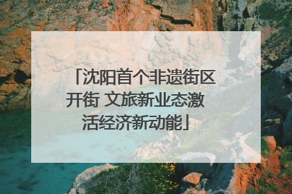 沈阳首个非遗街区开街 文旅新业态激活经济新动能