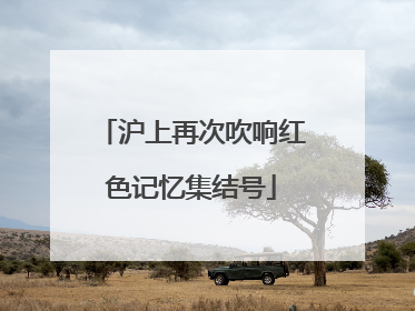 沪上再次吹响红色记忆集结号