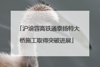 沪渝蓉高铁通泰扬特大桥施工取得突破进展