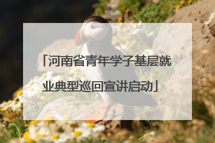 河南省青年学子基层就业典型巡回宣讲启动