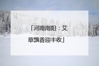 河南南阳：艾草飘香迎丰收