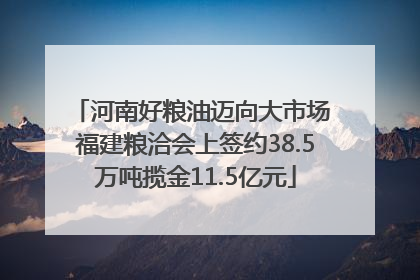 河南好粮油迈向大市场 福建粮洽会上签约38.5万吨揽金11.5亿元