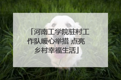 河南工学院驻村工作队暖心举措 点亮乡村幸福生活