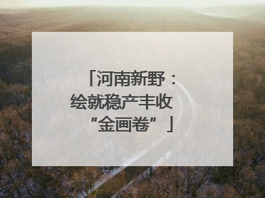 河南新野：绘就稳产丰收“金画卷”