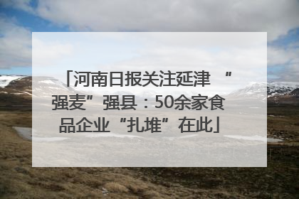 河南日报关注延津 “强麦”强县：50余家食品企业“扎堆”在此