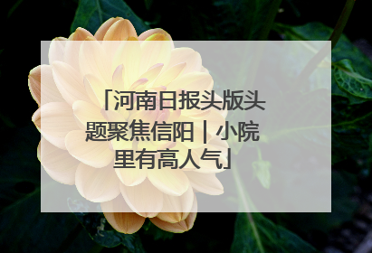 河南日报头版头题聚焦信阳｜小院里有高人气