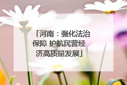 河南：强化法治保障 护航民营经济高质量发展