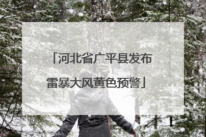 河北省广平县发布雷暴大风黄色预警