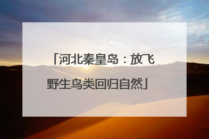 河北秦皇岛：放飞野生鸟类回归自然