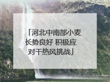 河北中南部小麦长势良好 积极应对干热风挑战