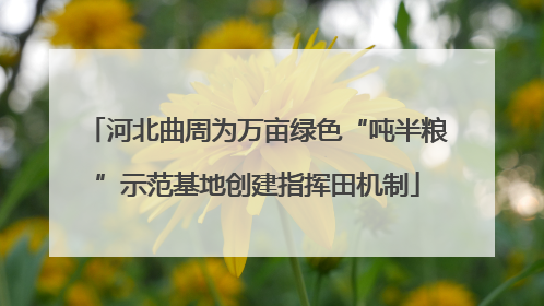 河北曲周为万亩绿色“吨半粮”示范基地创建指挥田机制