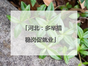 河北：多举措稳岗促就业