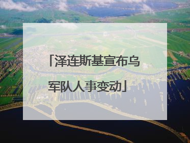 泽连斯基宣布乌军队人事变动