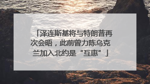 泽连斯基将与特朗普再次会晤，此前曾力陈乌克兰加入北约是“互惠”