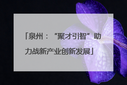 泉州：“聚才引智”助力战新产业创新发展