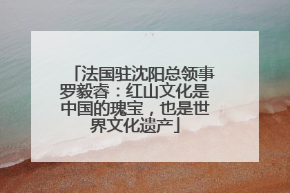 法国驻沈阳总领事罗毅睿：红山文化是中国的瑰宝，也是世界文化遗产