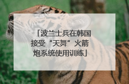 波兰士兵在韩国接受“天舞”火箭炮系统使用训练