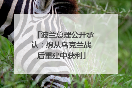 波兰总理公开承认：想从乌克兰战后重建中获利