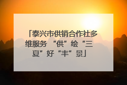 泰兴市供销合作社多维服务 “供”绘“三夏”好“丰”景