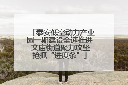泰安低空动力产业园一期建设全速推进 文庙街道聚力攻坚抢抓“进度条”