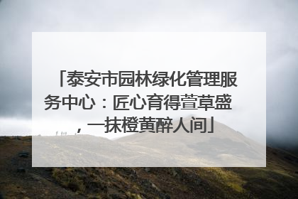 泰安市园林绿化管理服务中心：匠心育得萱草盛，一抹橙黄醉人间