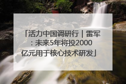 活力中国调研行｜雷军：未来5年将投2000亿元用于核心技术研发