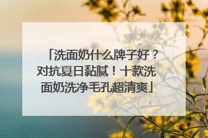 洗面奶什么牌子好？对抗夏日黏腻！十款洗面奶洗净毛孔超清爽