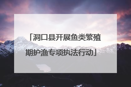 洞口县开展鱼类繁殖期护渔专项执法行动