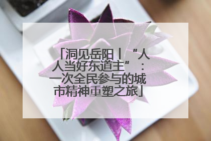 洞见岳阳丨“人人当好东道主”：一次全民参与的城市精神重塑之旅