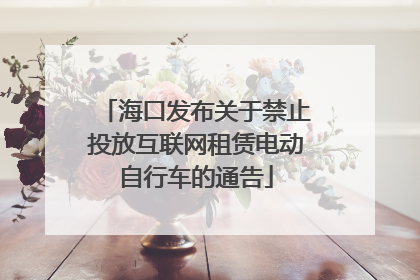 海口发布关于禁止投放互联网租赁电动自行车的通告