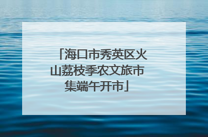 海口市秀英区火山荔枝季农文旅市集端午开市